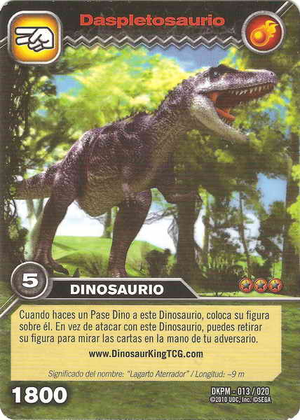 Cards 13 (card)