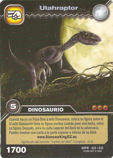 Cards 17 (card)
