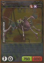 Card 428/432 (card)