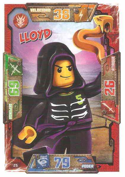 025 - card