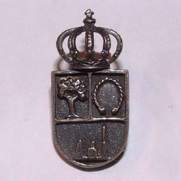 Pins 023 - Cerceda Town Council (A Coruña)