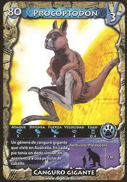 80 · Procoptodon (combat card)